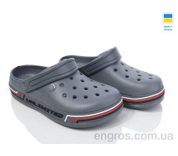 Кроксы Golden Lion